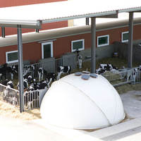 Calf housing system Igloo