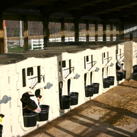 Calf housing system Pensystem